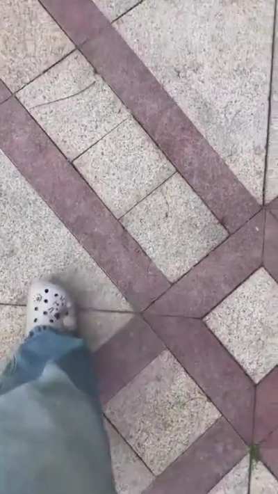 come on hooooman! pet me now