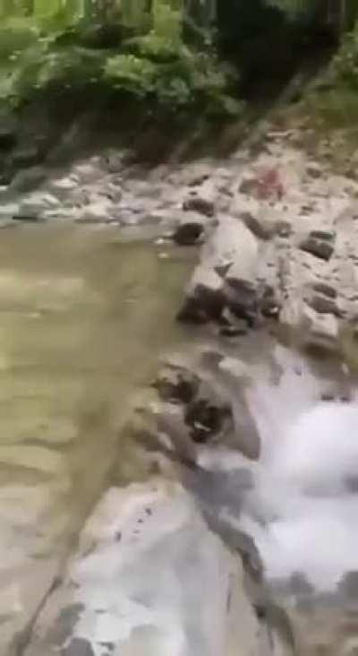 Fresh mounts spring water