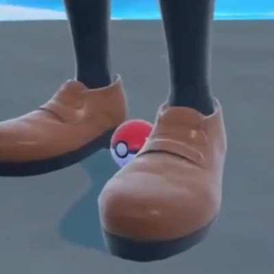 Pokemon is a perfectly functioning game with absolutely no issues.