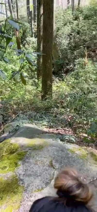 Sucking hi[m] just of[f] the trail