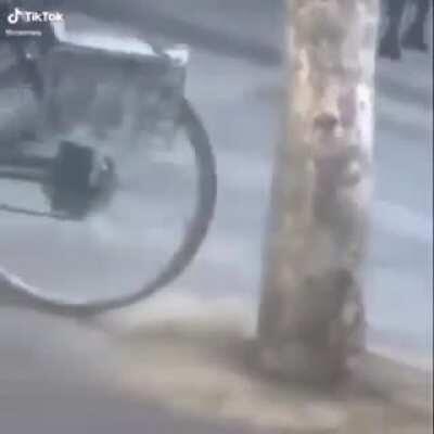 O sonic da vida real