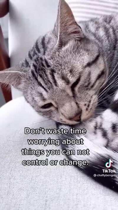 I think everyone could use a bit of Zoe's advice