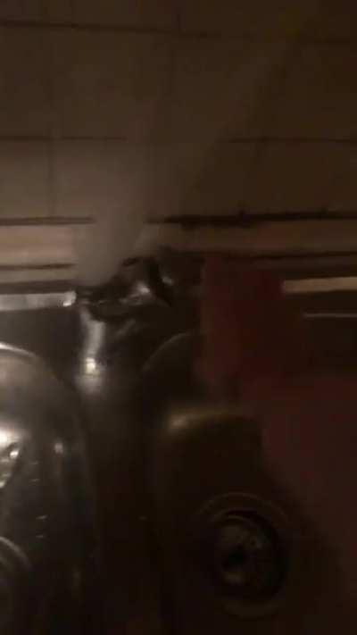 i just wanted a glass of water