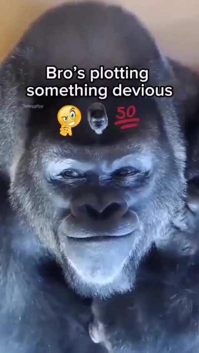 What is bro plotting 💀