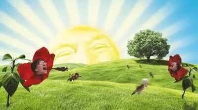 An actual Trump campaign video on Facebook.