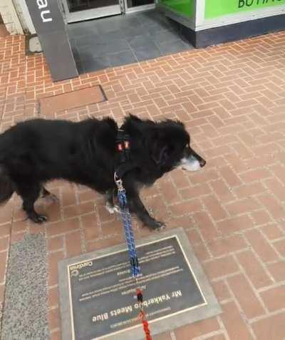 Why isn't it moving?