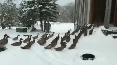 They all said nevermind