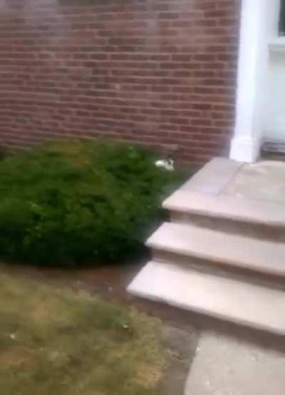 He took the road less travelled