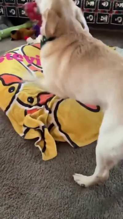 Stevie gets reunited with his rescuer