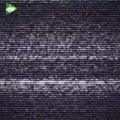 Compilation of stupids