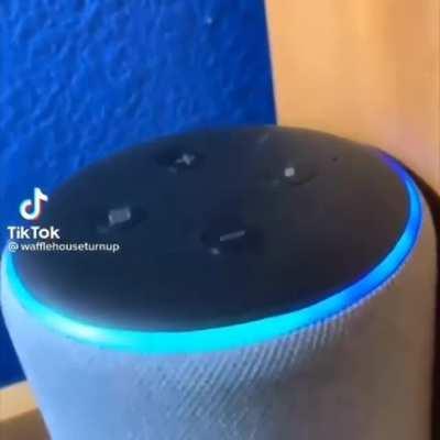 Blursed alexa