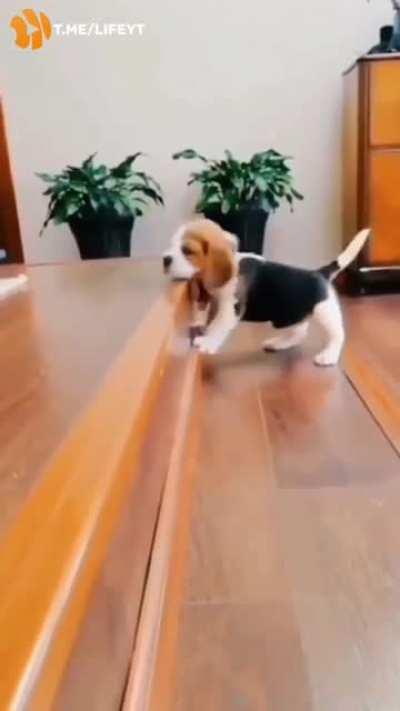 Just look at this little cutie 💖💖💖