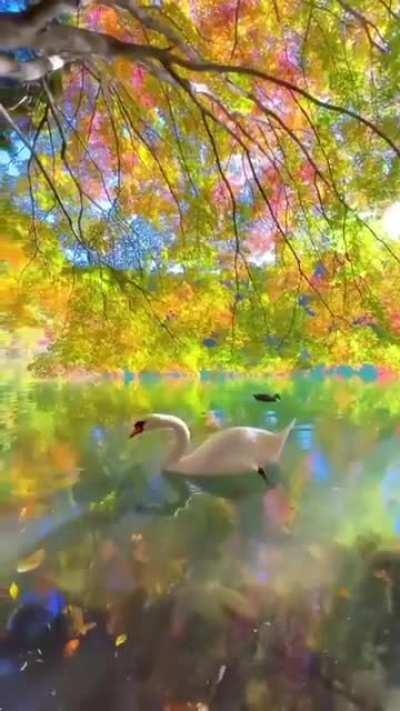 Little slice of heaven