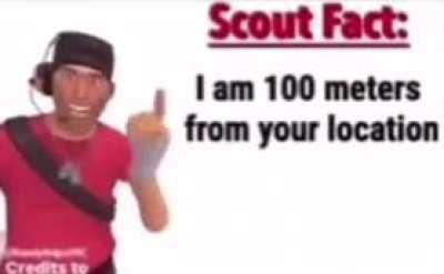 Scout fact
