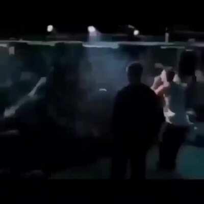 chipmunk rap 360p تفجير انتحاري HQ