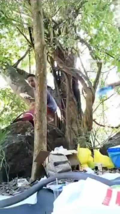 Imagine you see it running towards you, I would personally lose it