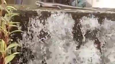 How the turntables..