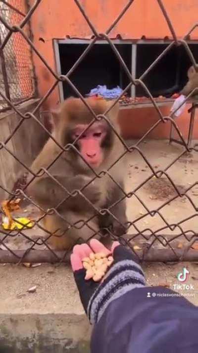 I'm the one who knocks...