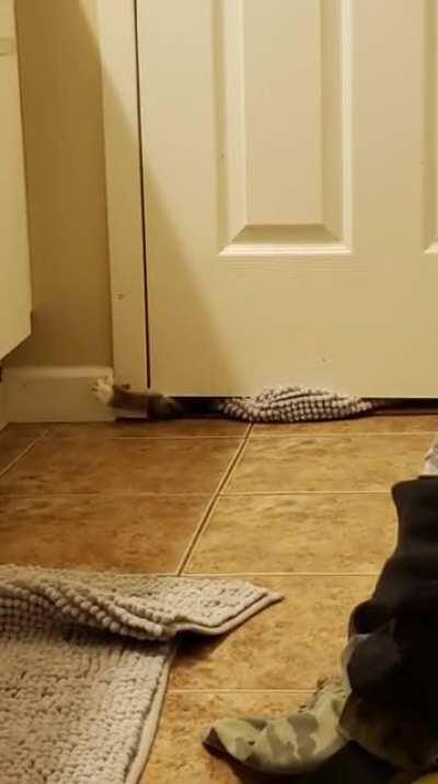 Where are you houman?