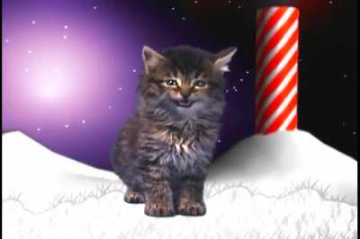 Loser Holiday Special, Day 2/25