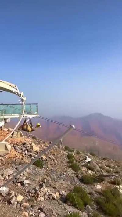 This camel needs that Safety helmet for sure.