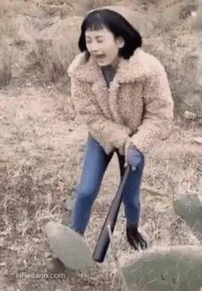 Nature pulling out UNO reverse