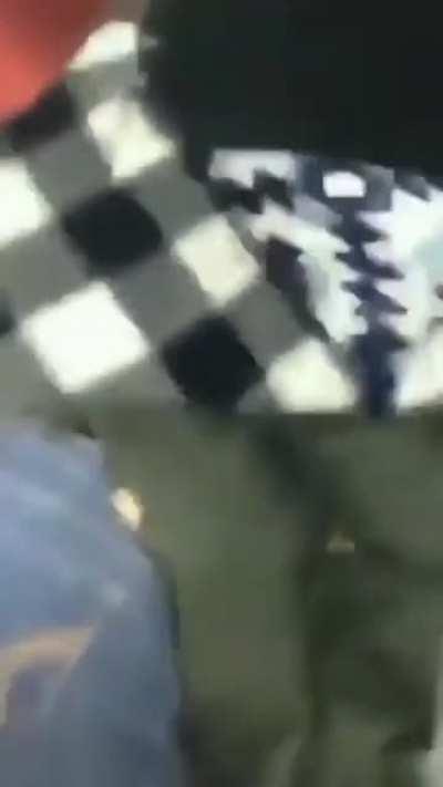 Trying to jump into blankets on a shelf