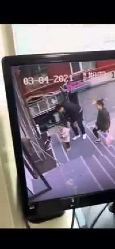 Owner asks dog to bring the cat playing with kid back