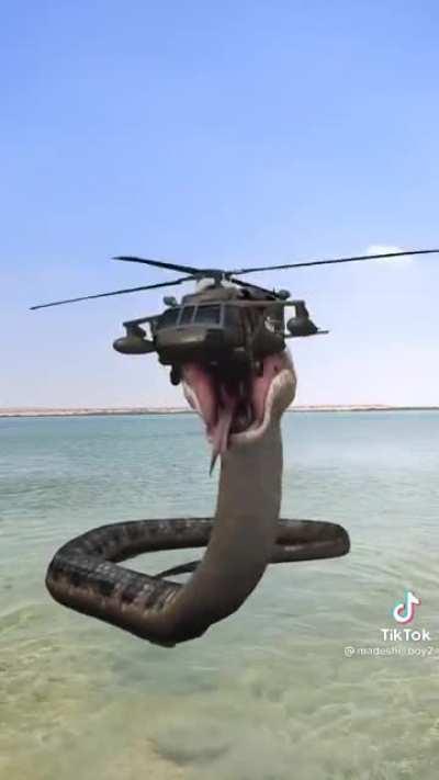 Chad turns into snake and shoots down helicopter