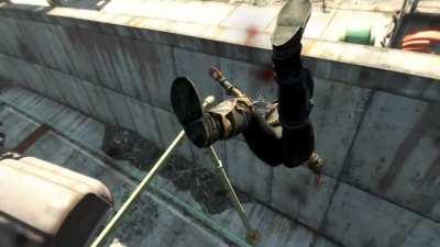 Anyone want to adopt a dog?