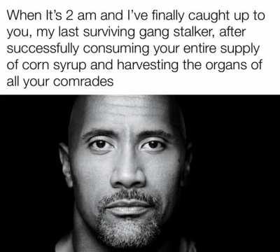 Turns out they were just a small pack of boars (oops lmao)