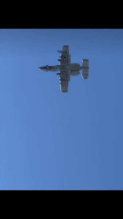 America the Beautiful 🫡🇺🇸