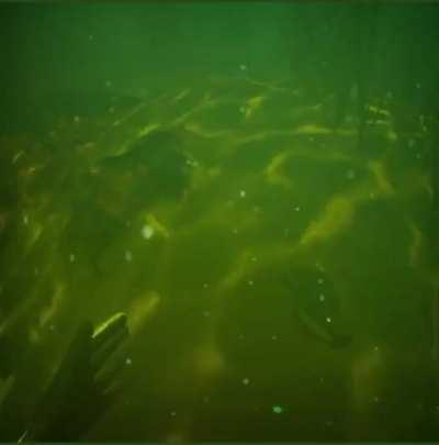 Thalassophobia VR simulator. This would trigger my fears so hard. Posted by @Kheba_B on Twitter.