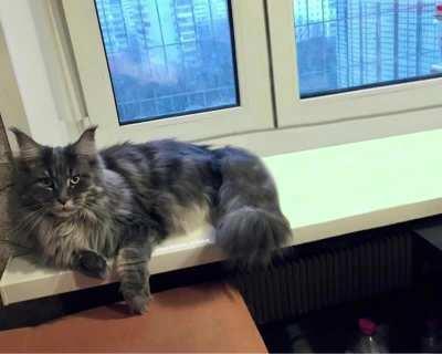 POV: you take your pills