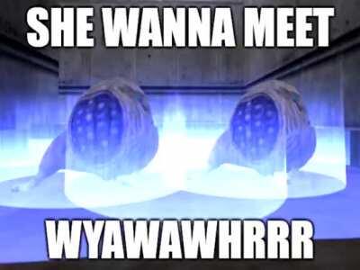 fuck it. half life meme