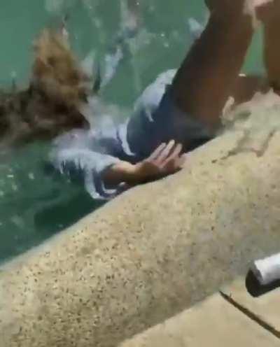 Save the White Claw at all costs