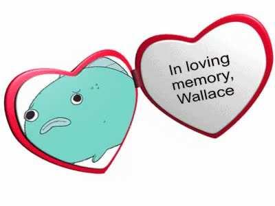 In Honor of Our Sad, Fishy Friend.