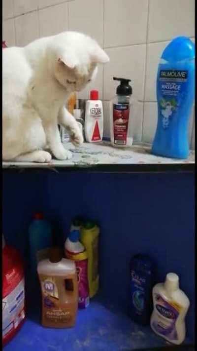 stop it! you little sly creature!