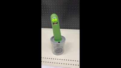 cursed_pickle_rick_merch