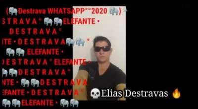 Elefante DESTRAVA