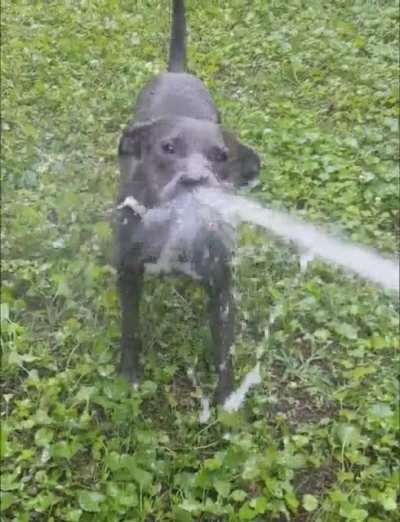 I could do this all day