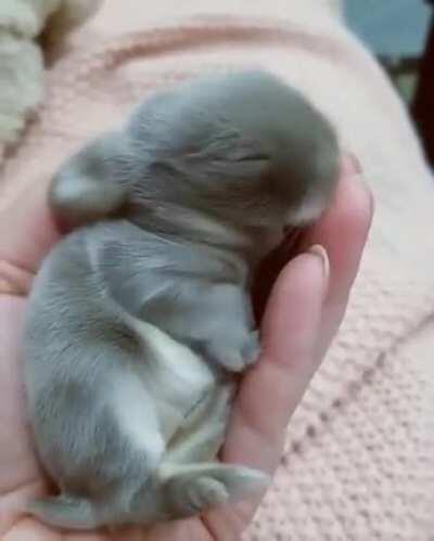 Have a good day everyone