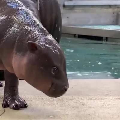 You can't even see whites of his eyes while he hunts you