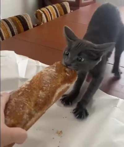 It was a battle of the strongest warriors. Just him and the baguette