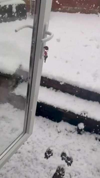 Out... and right back in