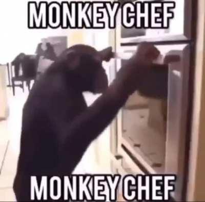 Monkey makes you dinner