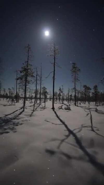 Wherever you go, it's all the same