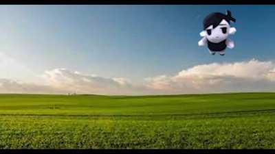 i made this omor in film studies class in school