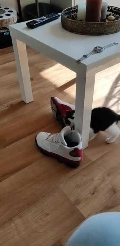 The criminal was too cute to stop