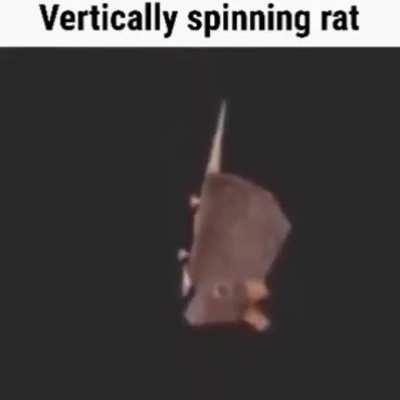 You've heard of horizontally spinning rat, now get ready for... vetically spinning rat. It's the same but not better.